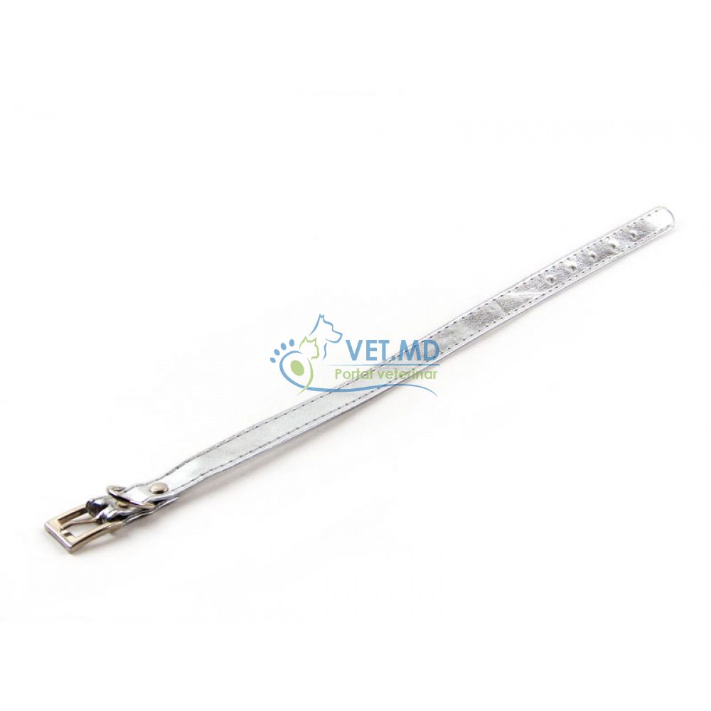 Ошейник 1см 30см серебряный